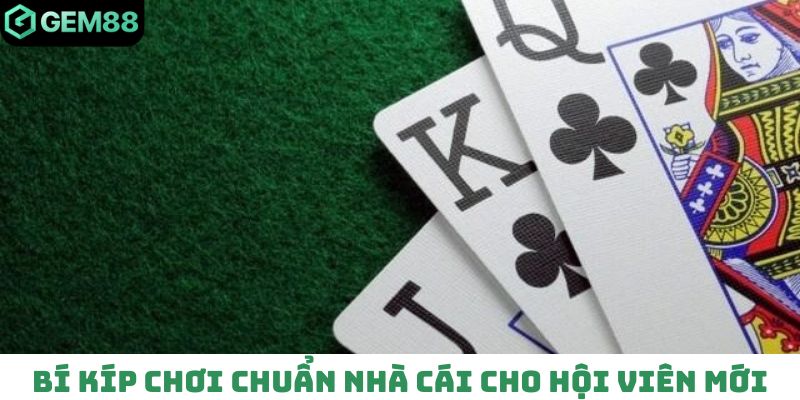 Bí kíp chơi chuẩn nhà cái cho hội viên mới