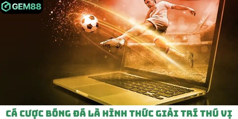 Cá cược bóng đá là hình thức giải trí thú vị