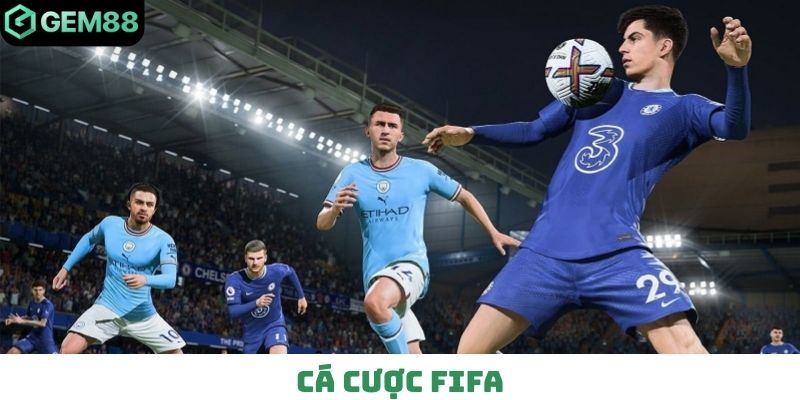 Cá cược FIFA