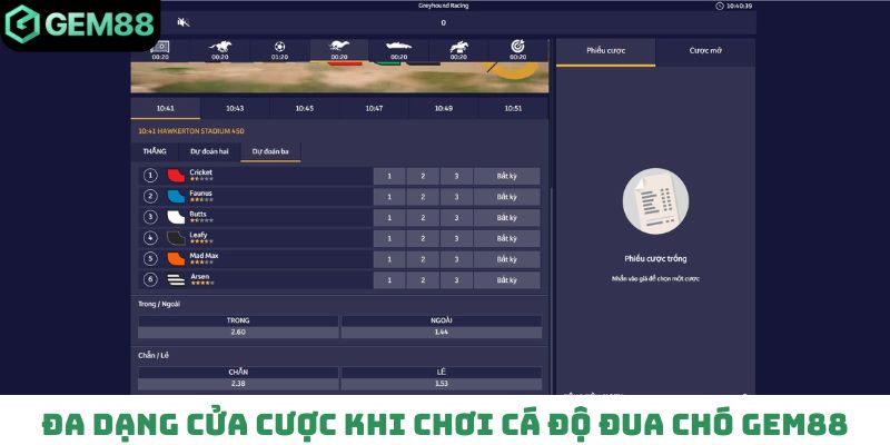Đa dạng cửa cược khi chơi cá độ đua chó Gem88