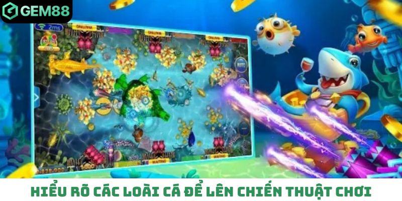 Hiểu rõ các loài cá để lên chiến thuật chơi hiệu quả