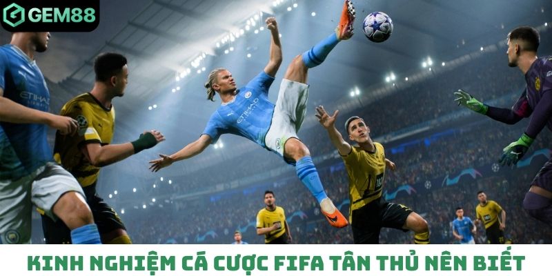 Kinh nghiệm cá cược FIFA tân thủ nên biết