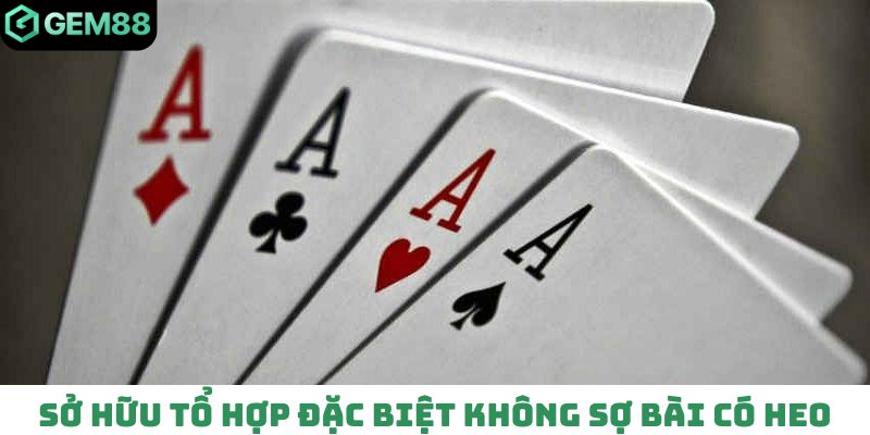 Sở hữu tổ hợp đặc biệt không sợ bài có heo