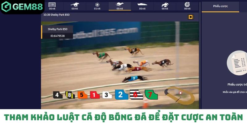 Tham khảo luật chơi cá độ bóng đá để đặt cược an toàn