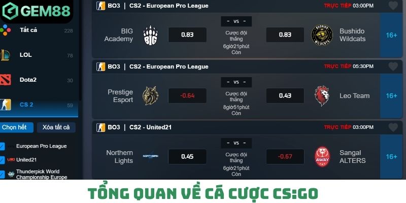 Tổng quan về cá cược CS:GO