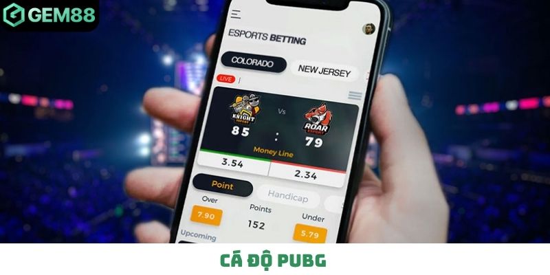 Cá độ Pubg