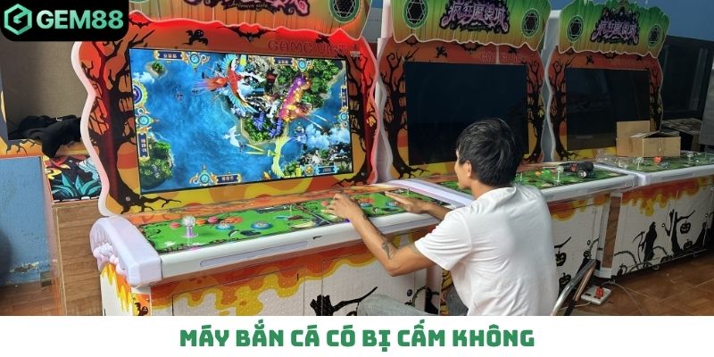 Máy bắn cá có bị cấm không