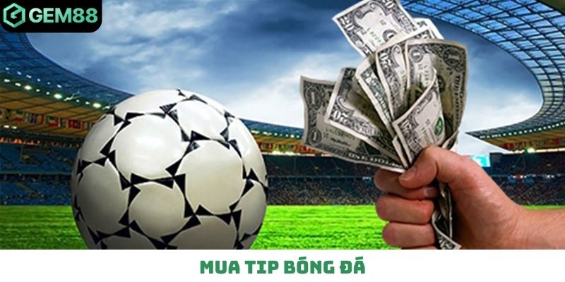 Mua tip bóng đá