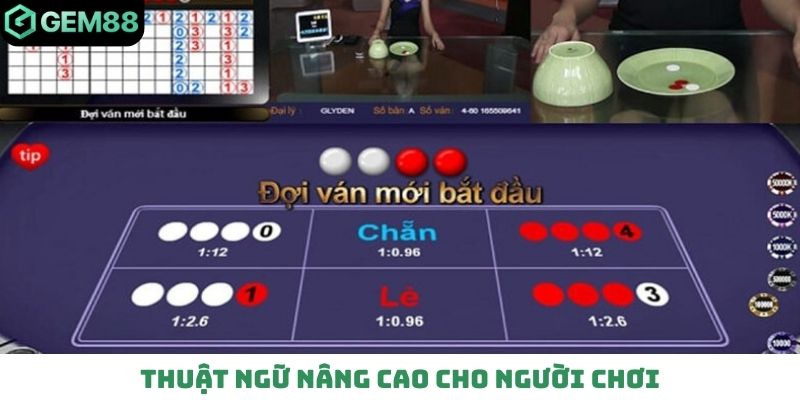 Thuật ngữ nâng cao cho người chơi